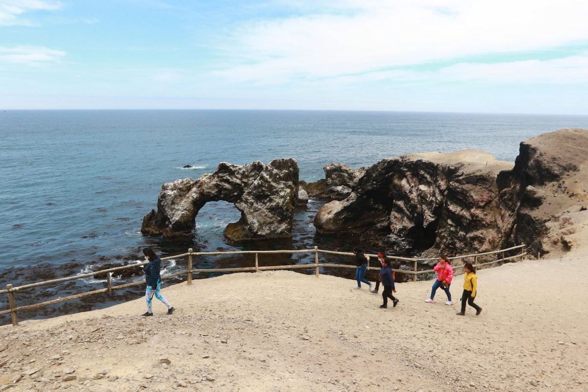 Ica Reserva Nacional San Fernando Formaliza Al 100 Su Actividad