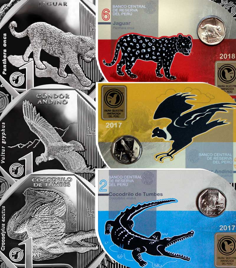 Monedas “Fauna Silvestre Amenazada del Perú” ¿Ya tienes tu colección?