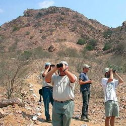 Perú es campeón mundial en destino para observación de aves