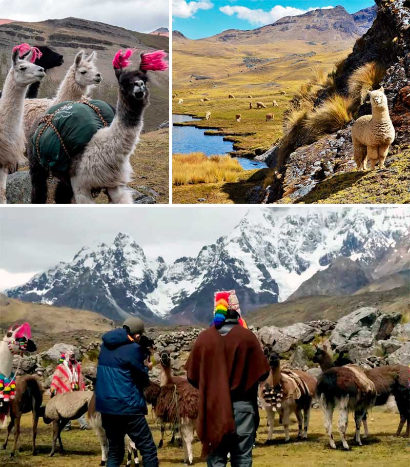 peru