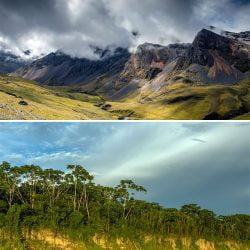 Perú cuenta con tres nuevas áreas de conservación regional en Huánuco, Ucayali y Cusco