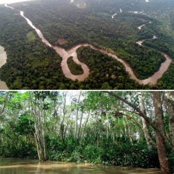 Reconocen a comunidad nativa en Loreto como Área de Conservación Privada