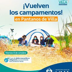 Regresan los campamentos de avistamiento de aves en los Pantanos de Villa