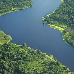 Gobierno reconoce la segunda Área de Conservación Privada en la región Ucayali “Campo Verde”