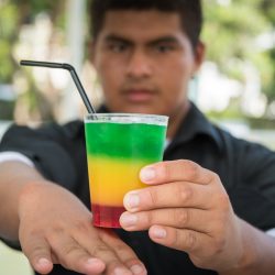 Festival del Pisco Sour en el Campo de Marte: Un brindis por la tradición peruana