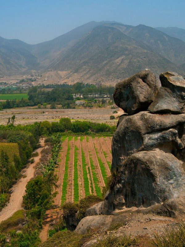 Pachacámac celebra San Valentín con el “Festi Amor” del 14 al 16 de febrero